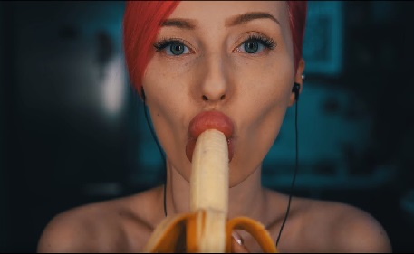 816F9562