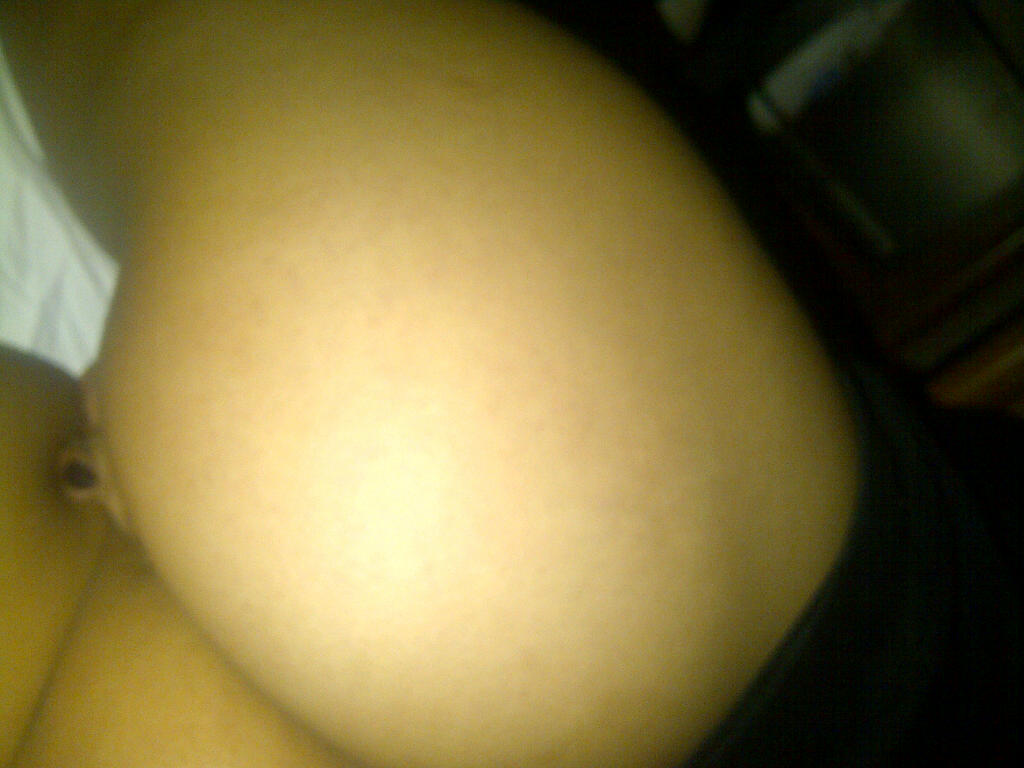 Ed36B204