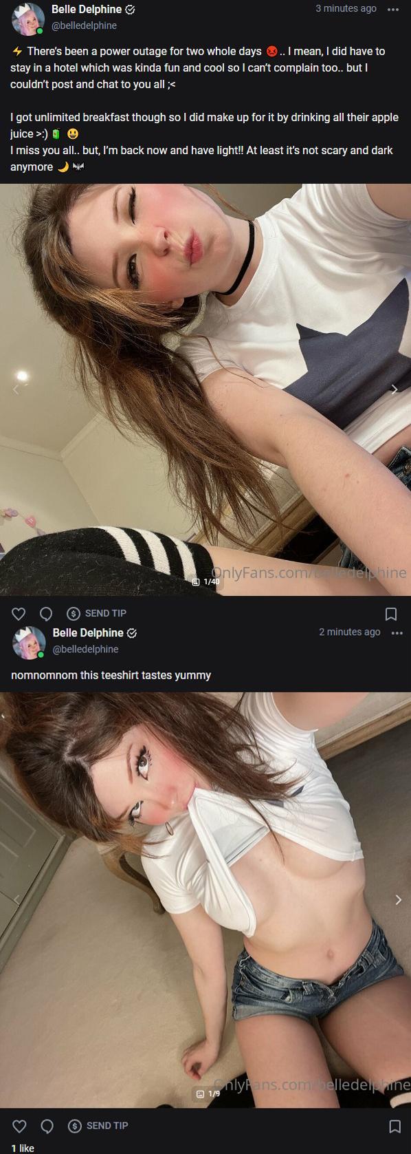 43058348