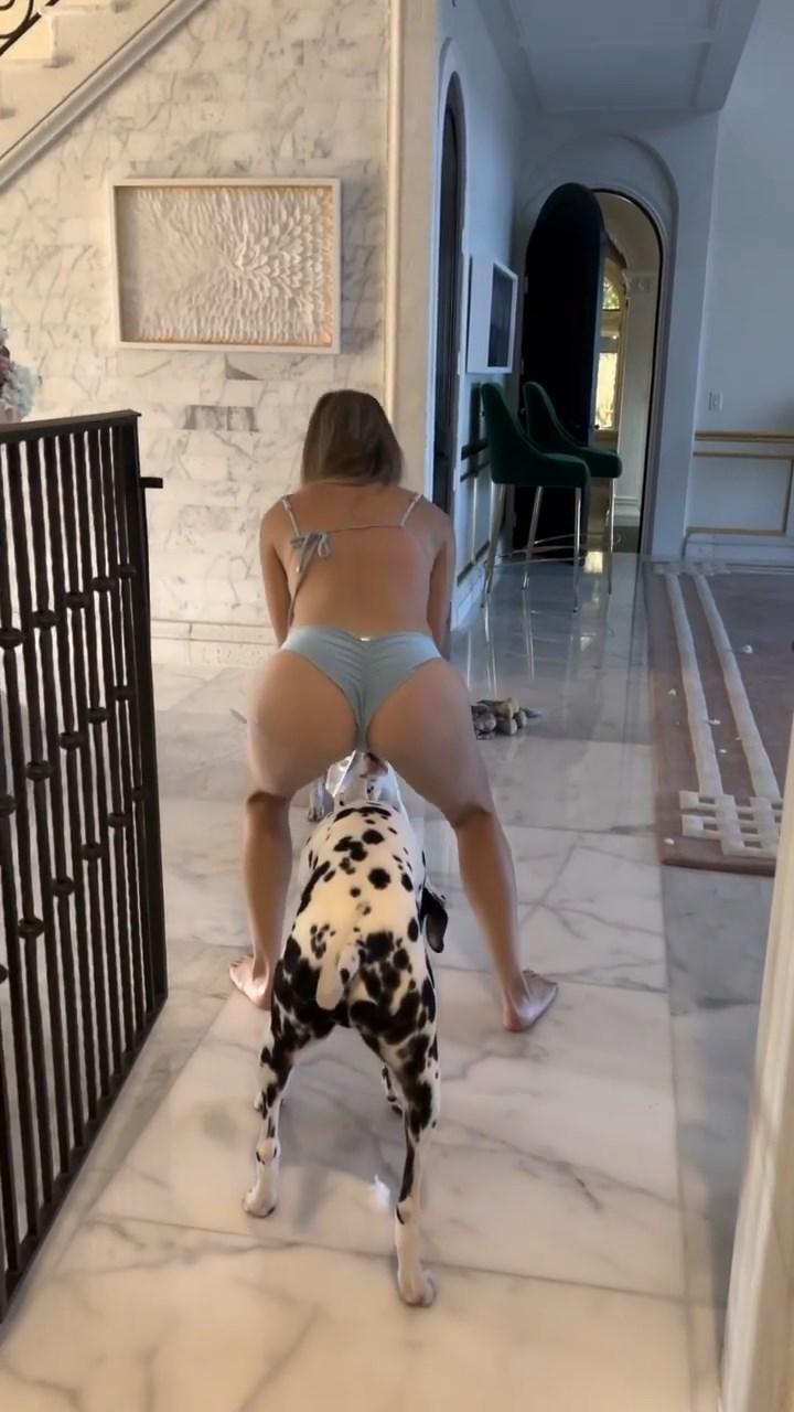 7B8F4581